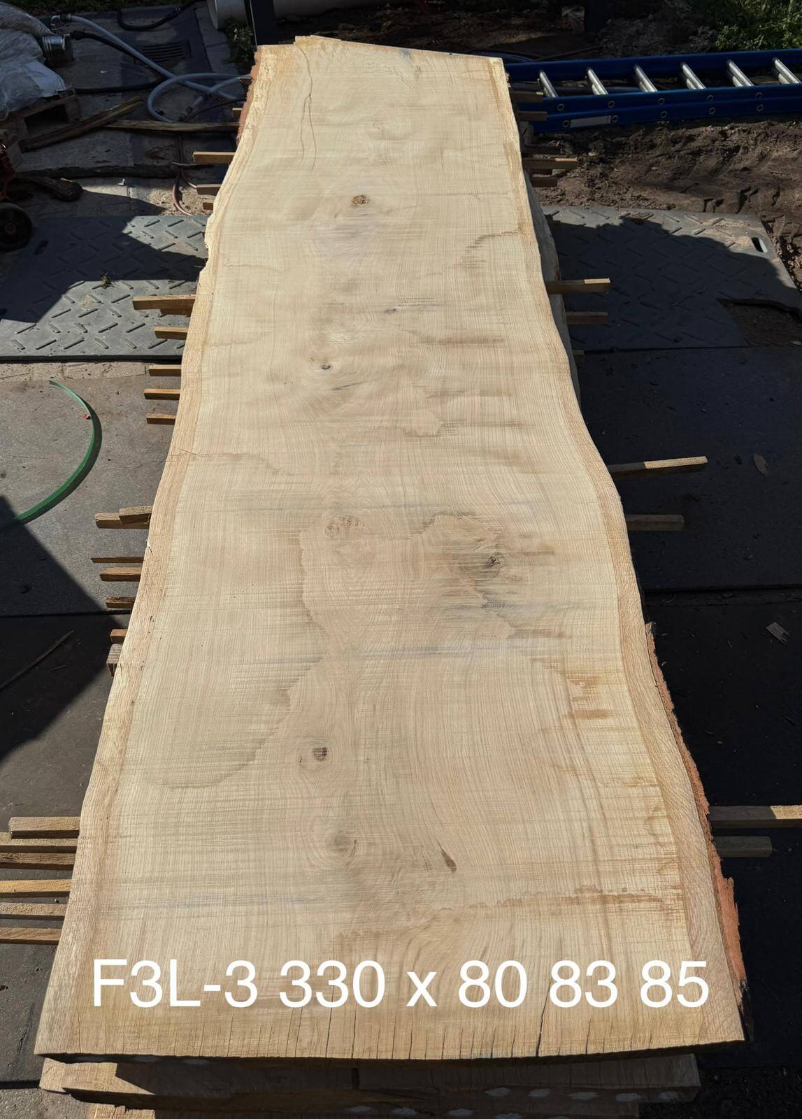 Baumscheiben Esstisch aus Eiche - 330 x 85 x 7 cm – Table Kings