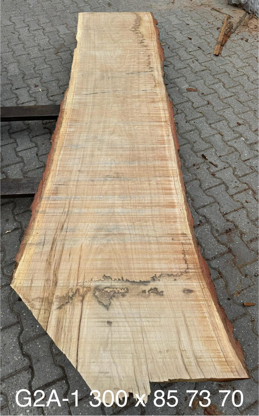 Baumscheiben Esstisch aus Eiche 300 cm x 80 cm x 7 cm – Table Kings