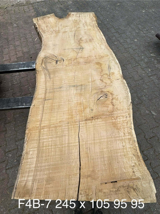 Baumscheiben Esstisch aus Eiche - 245 x 105 x 7 cm – Table Kings